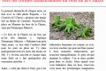 La photo du mois aout 2017